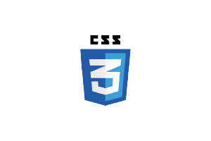 logo-css